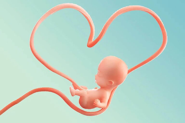 rahnamaye-valedein-min